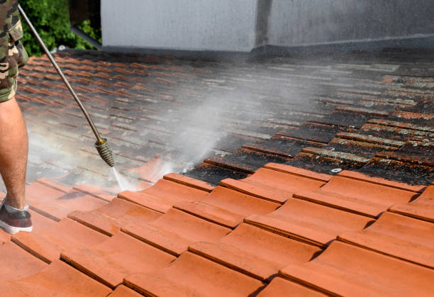 Best House Pressure Washing  in Delavan, WI