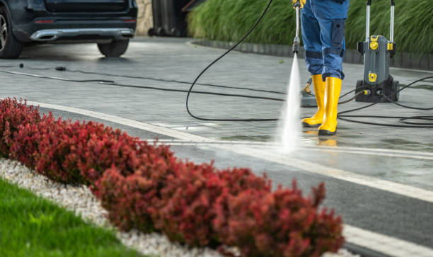 Best Deck Cleaning Services  in Delavan, WI