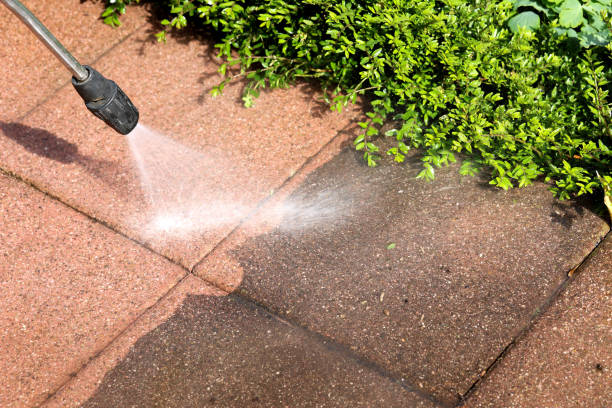 Best Pressure Washing Near Me  in Delavan, WI